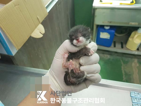 한국동물구조관리협회_441409202500606